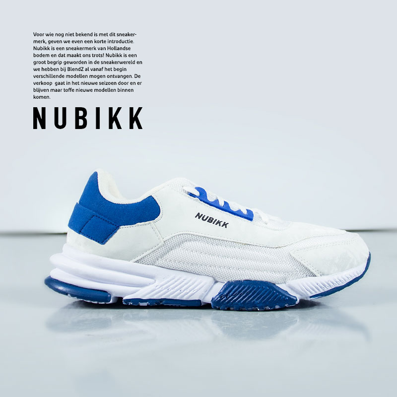 عکس محصول کفش مردانه NUBIKK (سفیدآبی)